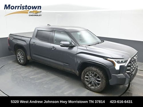 2023 Toyota Tundra 4WD Platinum