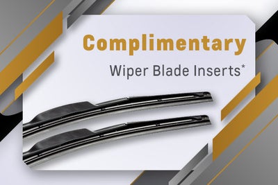 Complimentary Wiper Inserts