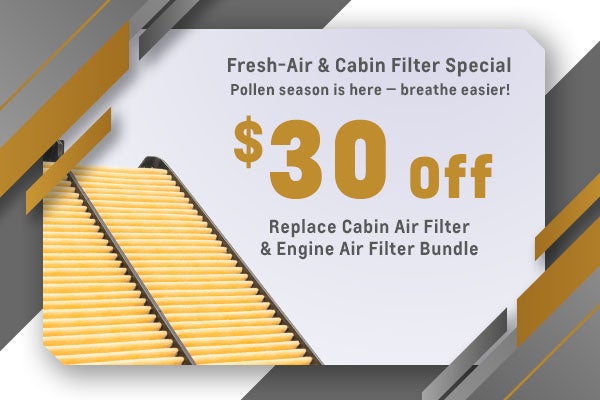 Fresh-Air & Cabin Filter Special